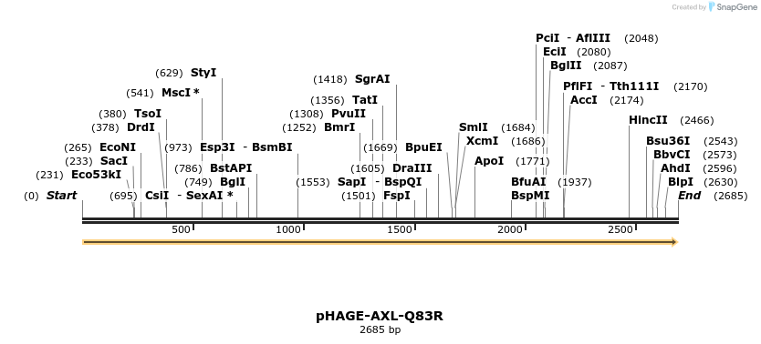 218994_map