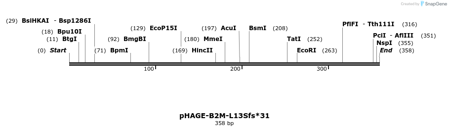 218997_map