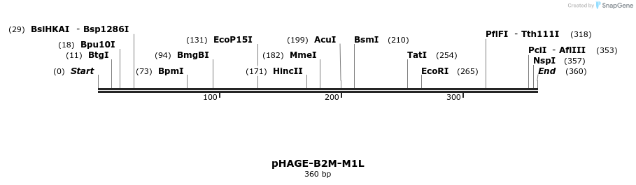 218998_map