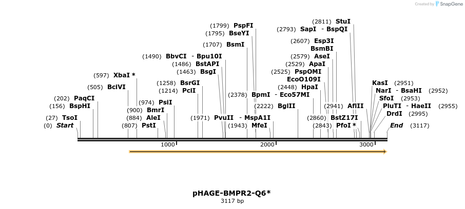 219001_map