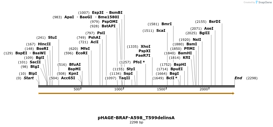 219004_map