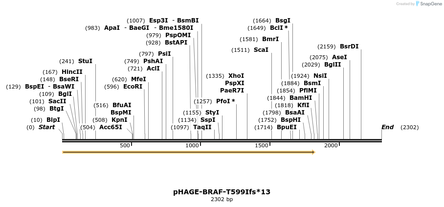 219006_map