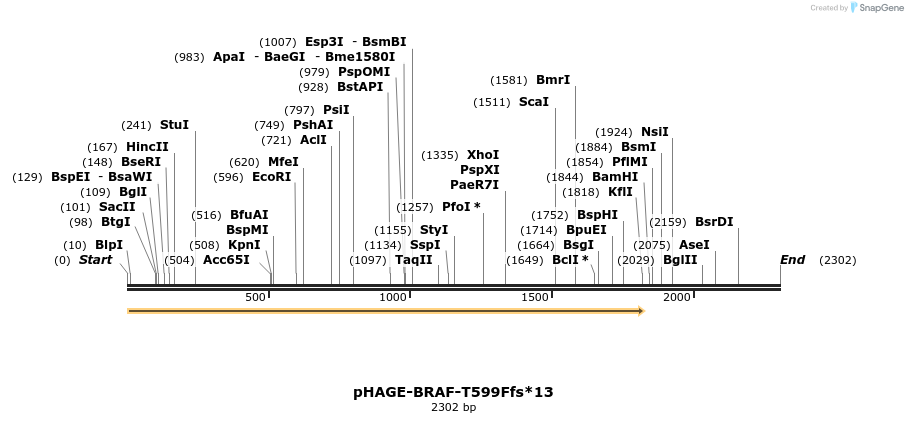 219007_map