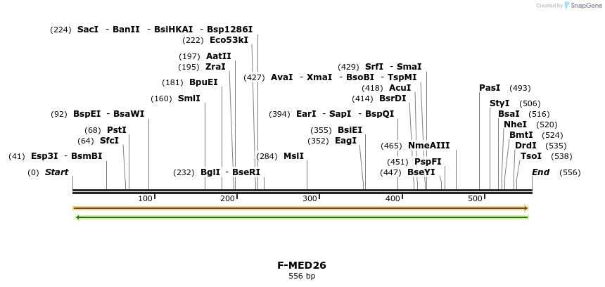 21902_map