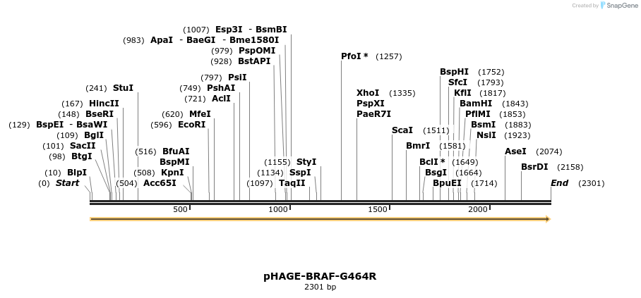 219020_map
