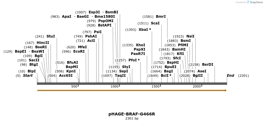 219024_map