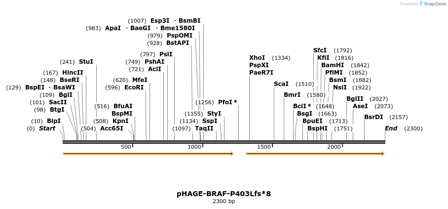 219063_map