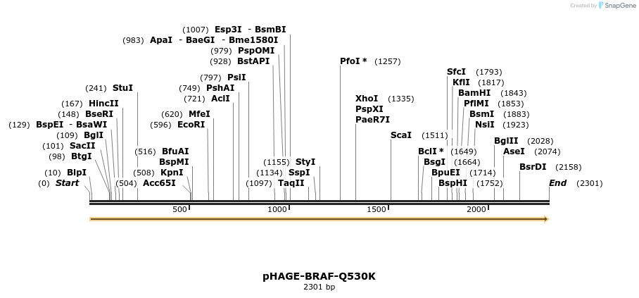 219065_map