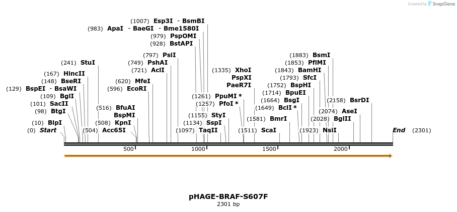 219068_map