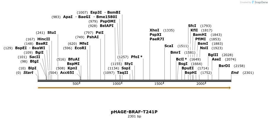 219070_map