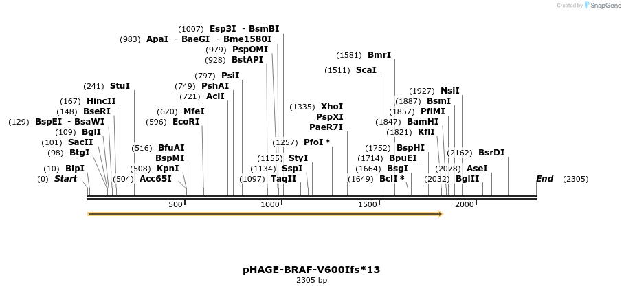 219071_map