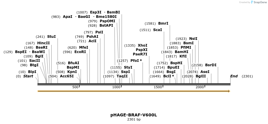 219080_map
