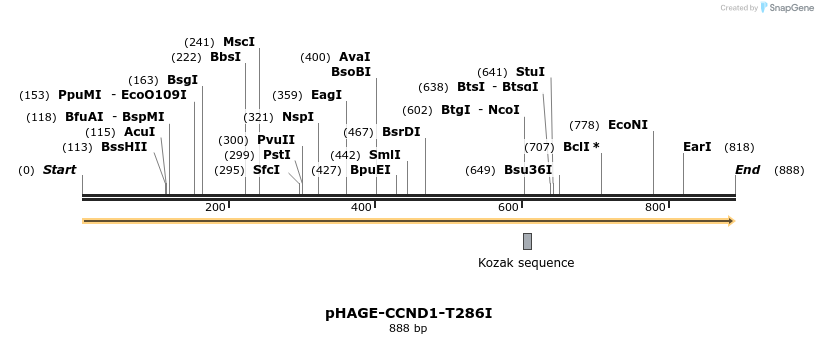 219087_map