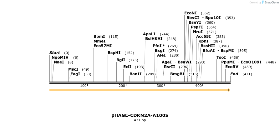 219092_map