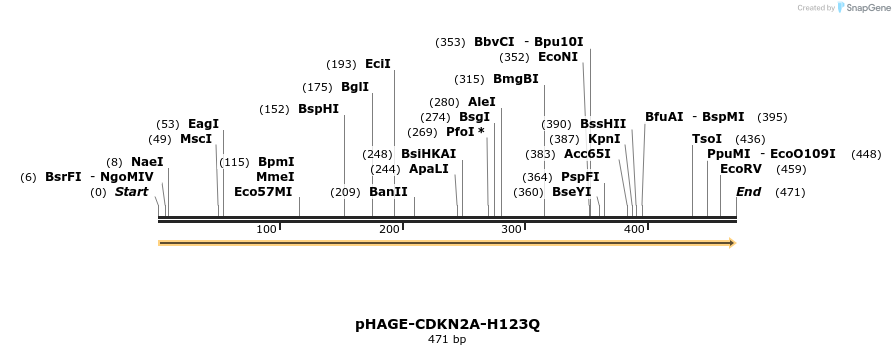 219094_map