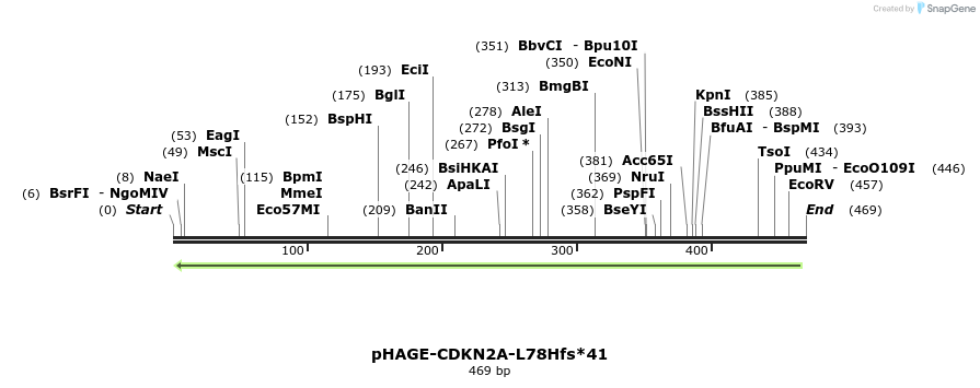 219095_map