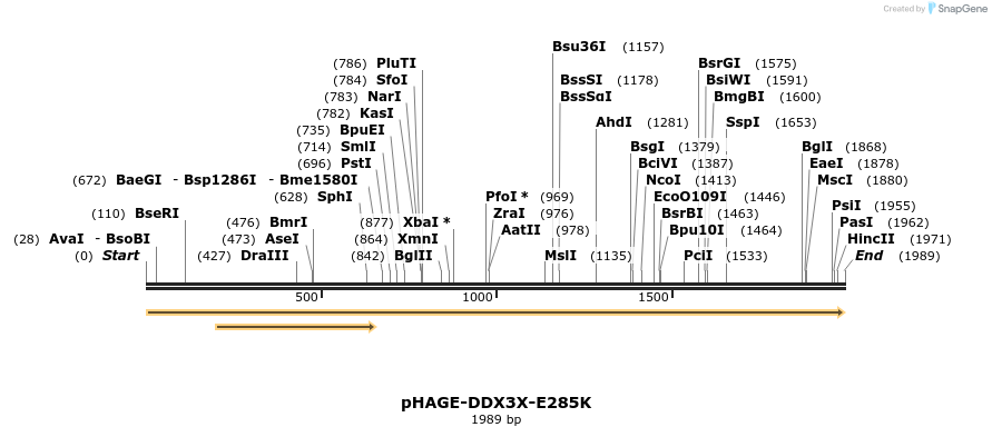 219099_map