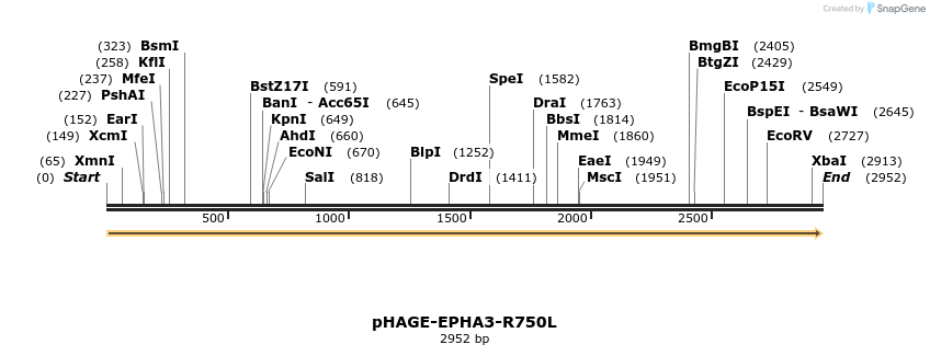219197_map