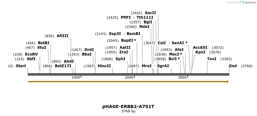 219199_map