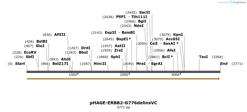 219205_map