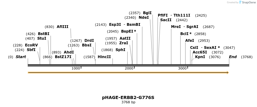 219206_map