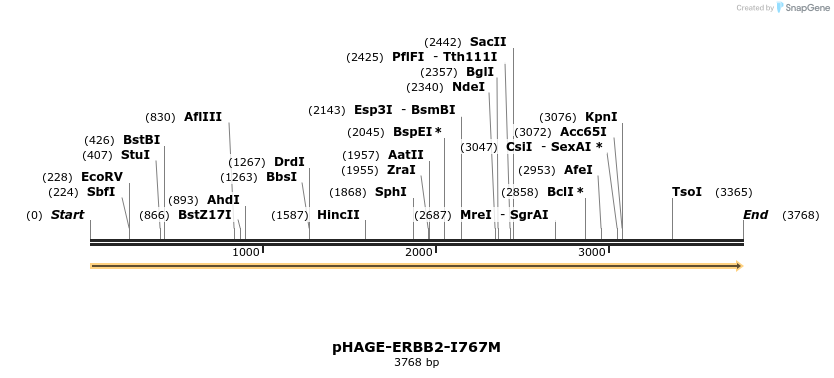 219209_map
