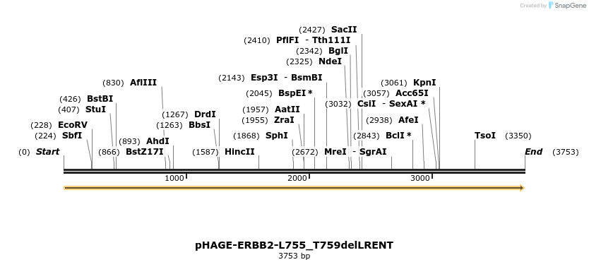 219213_map
