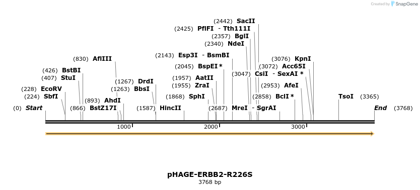 219220_map