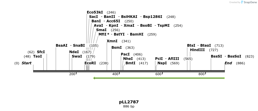 21923_map