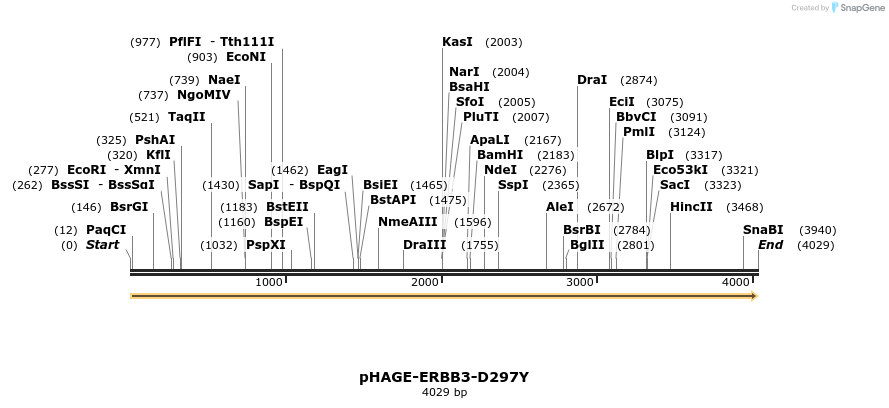 219234_map