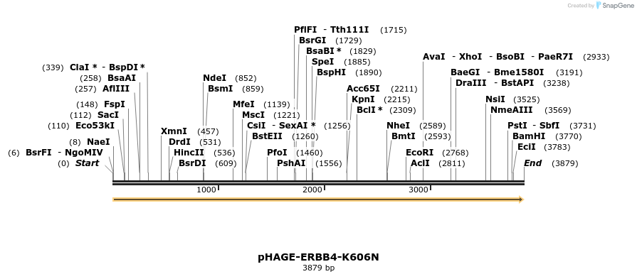 219238_map