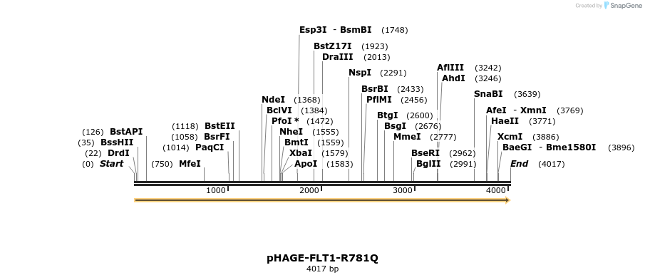 219271_map