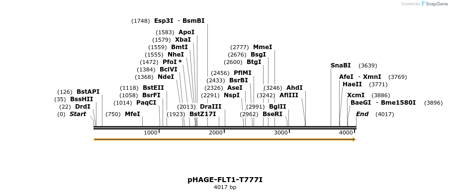 219272_map
