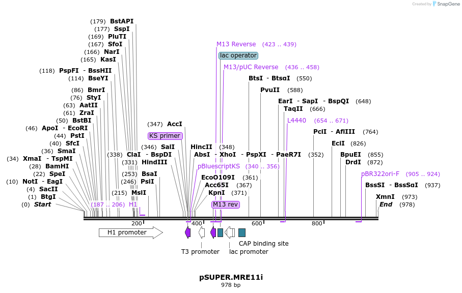 21928_map