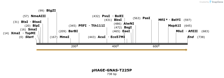 219280_map