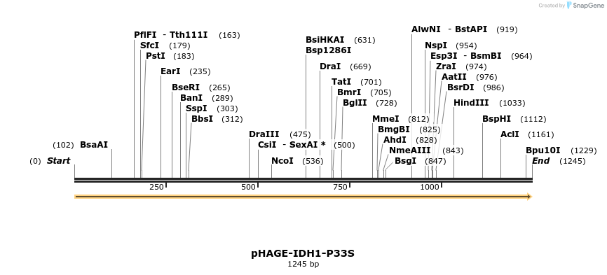 219283_map
