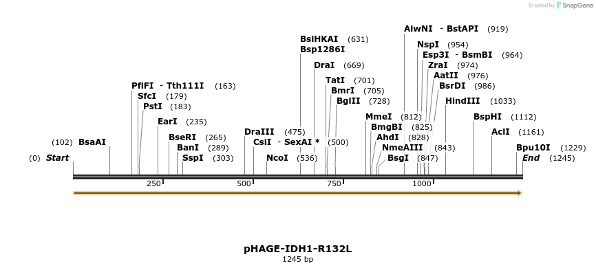 219285_map