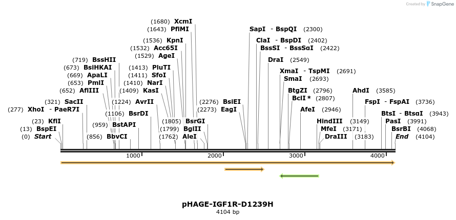 219286_map