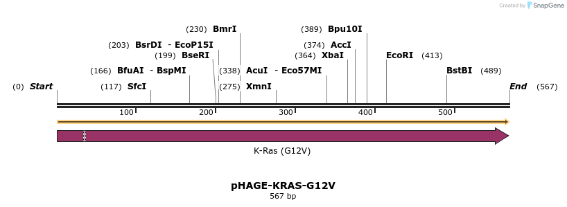 219298_map