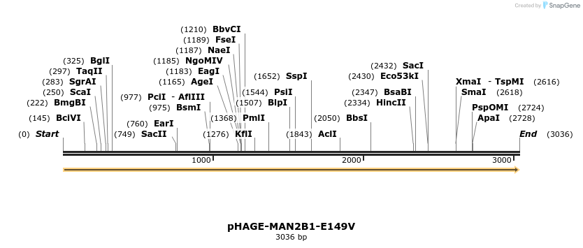 219300_map