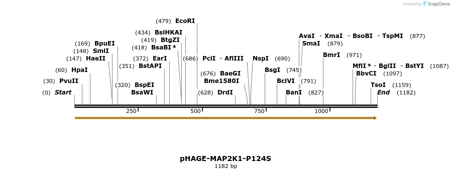 219302_map