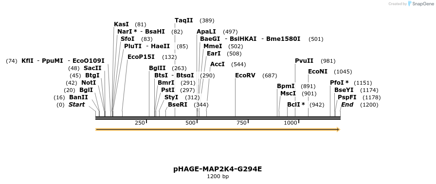 219304_map