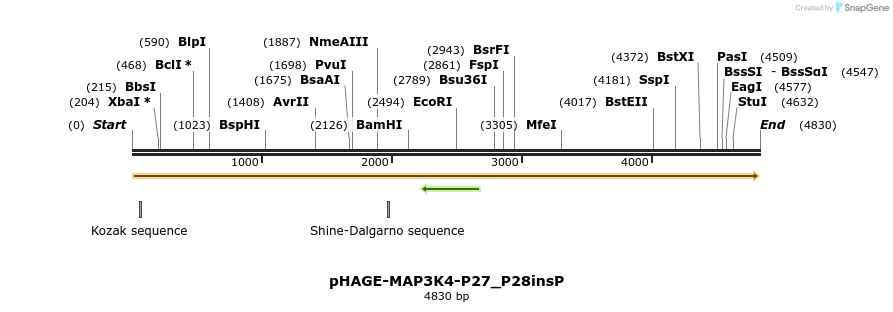 219305_map