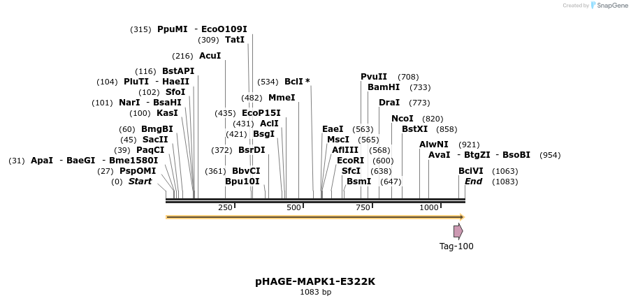219306_map