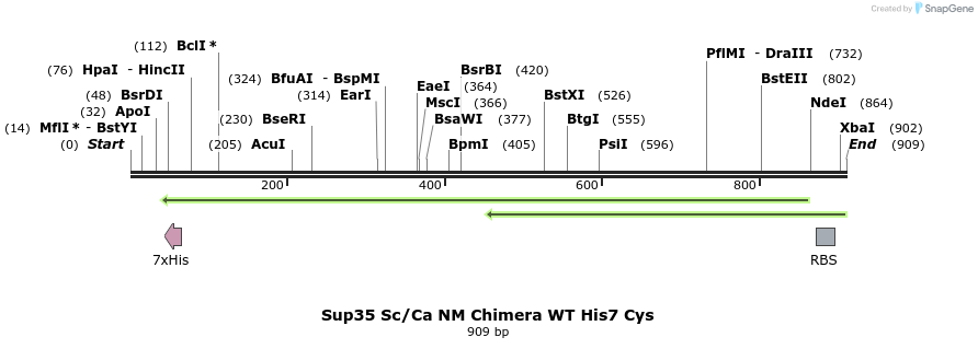 21931_map