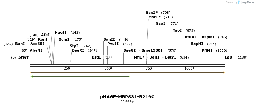 219311_map