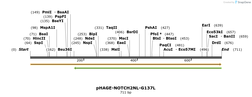 219313_map