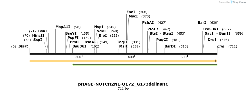 219314_map