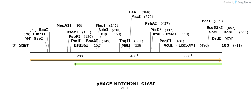 219316_map