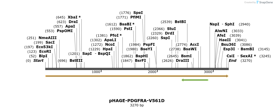 219326_map